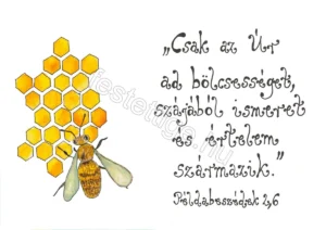 "Csak az Úr ad bölcsességet.." Példabeszédek 2, 6