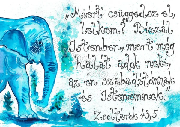 "Miért csüggedsz el lelkem?...." Zsoltárok 43,5