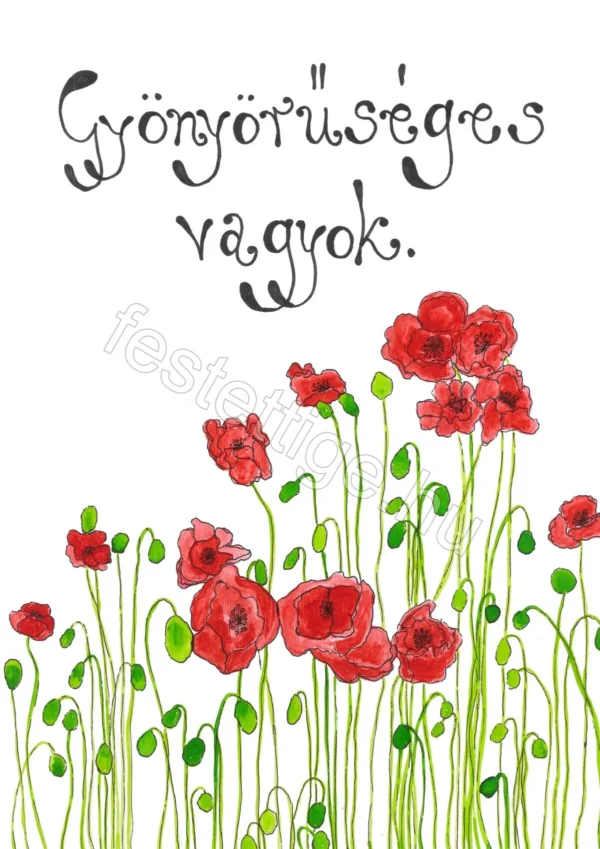 271 Gyönyörűséges vagyok. (pipacsos)