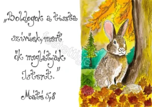 "Boldogok a tiszta szívűek..."  Máté 5,8