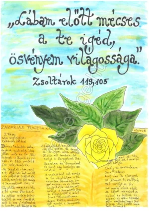 99 "Lábam előtt..." Zsoltárok 119,105
