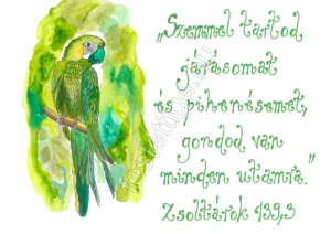 456 "Szemmel tartod..." Zsoltárok 139,3