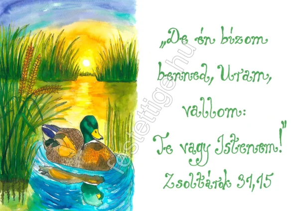 "De én bízom benned Uram..." Zsoltárok 31,15